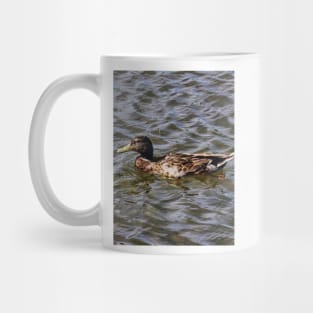 Female Mallard Duck Mug